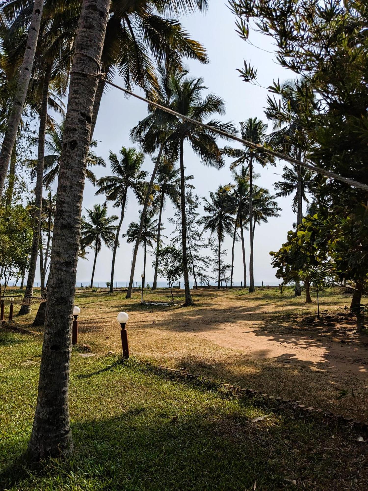 Baycliff Cottages Varkala Exterior foto